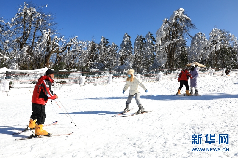 游客在冬日的暖阳下滑雪